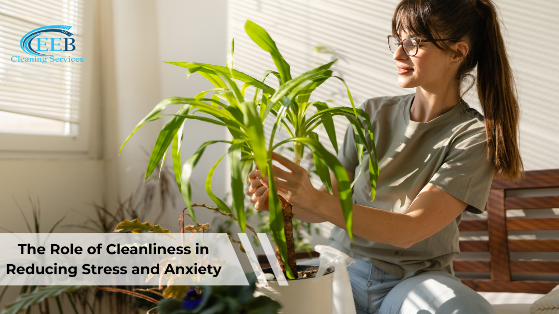 The Role of Cleanliness in Reducing Stress and Anxiety}